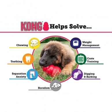 Kong Classic interaktyvus žaislas šunims 4