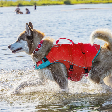 Kurgo Surf N Turf Dog Life Jacket plaukimo liemenė