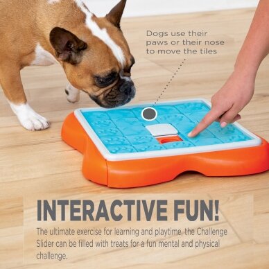 Nina Ottosson Challenge Slider interaktyvus žaislas šunims 3