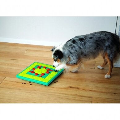 Nina Ottosson Multipuzzle interaktyvus žaislas šunims 1