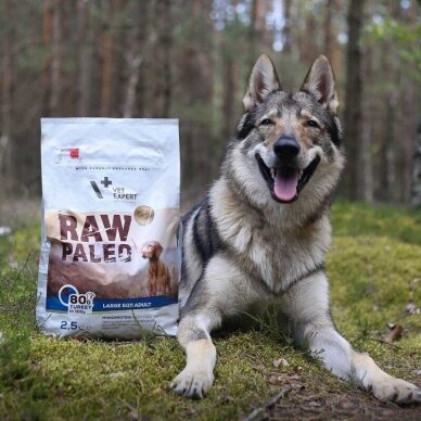 Raw Paleo Large Size Adult sausas maistas suaugusiems didelių veislių šunims (prenumerata) 1